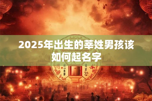 2025年出生的莘姓男孩该如何起名字 2025年出生的莘姓男孩该如何起名字