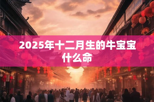 2025年十二月生的牛宝宝什么命 2025年十二月生的牛宝宝什么命
