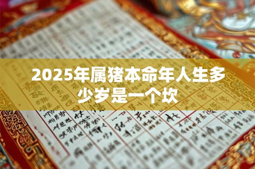 2025年属猪本命年人生多少岁是一个坎 2025年属猪本命年人生多少岁是一个坎