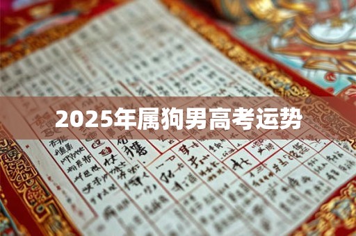 2025年属狗男高考运势 2025年属狗男高考运势