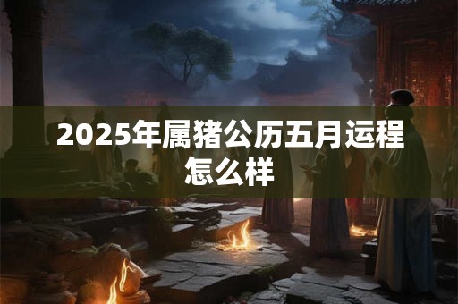 2025年属猪公历五月运程怎么样 2025年属猪公历五月运程怎么样