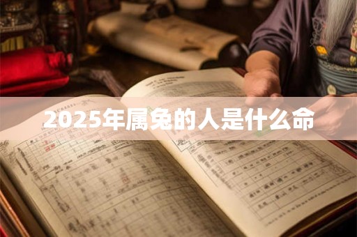 2025年属兔的人是什么命 2025年属兔的人是什么命