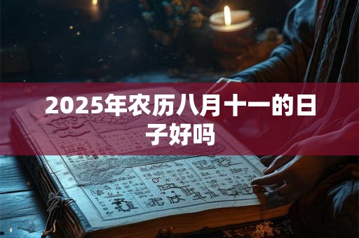 2025年农历八月十一的日子好吗