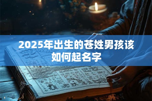 2025年出生的苍姓男孩该如何起名字