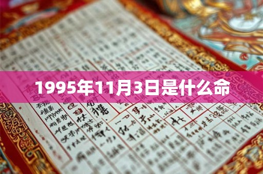 1995年11月3日是什么命