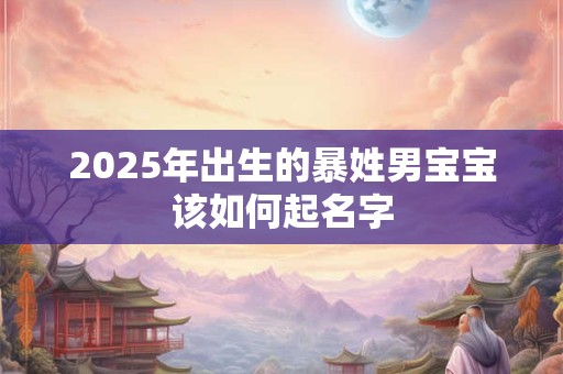 2025年出生的暴姓男宝宝该如何起名字