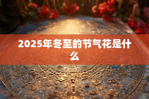 2025年冬至的节气花是什么 2025年冬至的节气花是什么