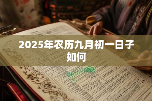 2025年农历九月初一日子如何