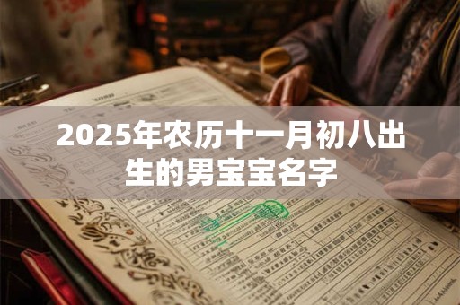 2025年农历十一月初八出生的男宝宝名字 2025年农历十一月初八出生的男宝宝名字