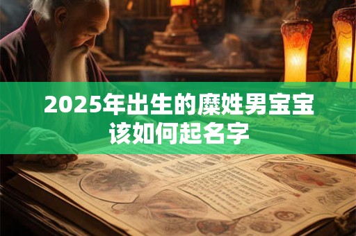 2025年出生的糜姓男宝宝该如何起名字 2025年出生的糜姓男宝宝该如何起名字
