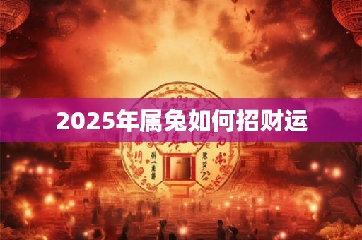 2025年属兔如何招财运 2025年属兔如何招财运