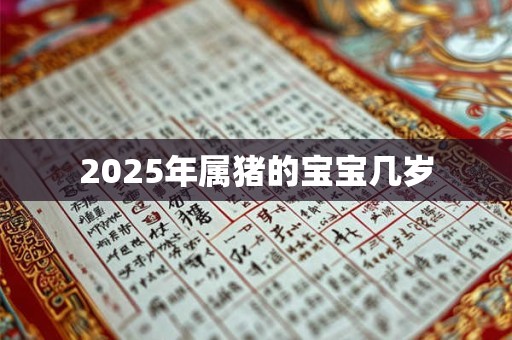 2025年属猪的宝宝几岁 2025年属猪的宝宝几岁