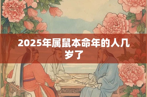 2025年属鼠本命年的人几岁了