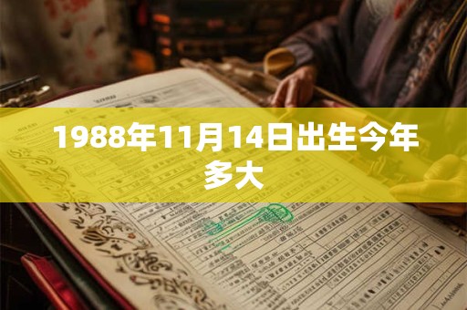 1988年11月14日出生今年多大 1988年11月14日出生今年多大
