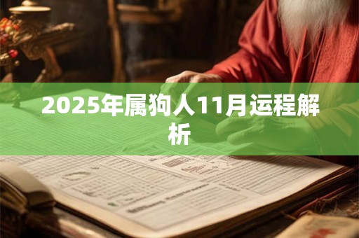 2025年属狗人11月运程解析 2025年属狗人11月运程解析