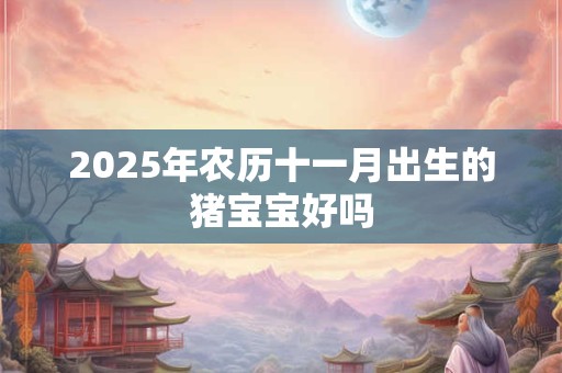 2025年农历十一月出生的猪宝宝好吗 2025年农历十一月出生的猪宝宝好吗