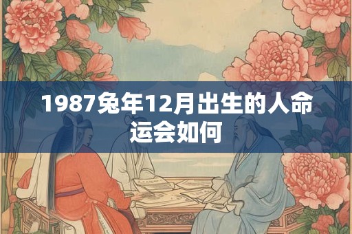 1987兔年12月出生的人命运会如何