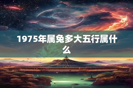 1975年属兔多大五行属什么