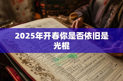 2025年开春你是否依旧是光棍 2025年开春你是否依旧是光棍