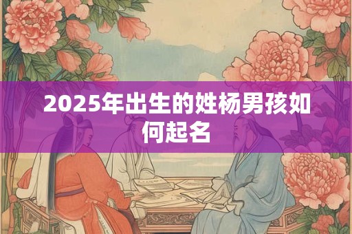 2025年出生的姓杨男孩如何起名 2025年出生的姓杨男孩如何起名