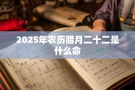 2025年农历腊月二十二是什么命 2025年农历腊月二十二是什么命