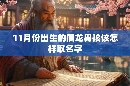 11月份出生的属龙男孩该怎样取名字 11月份出生的属龙男孩该怎样取名字