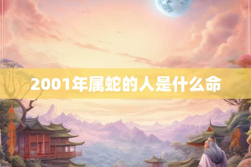 2001年属蛇的人是什么命