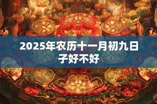 2025年农历十一月初九日子好不好