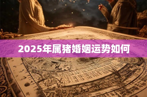 2025年属猪婚姻运势如何 2025年属猪婚姻运势如何