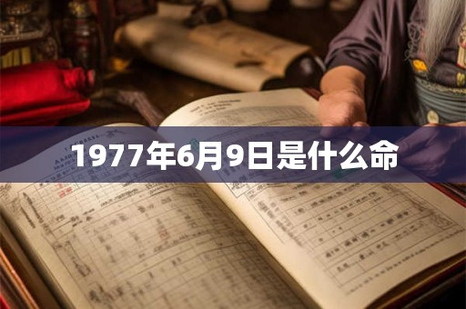 1977年6月9日是什么命 1977年6月9日是什么命
