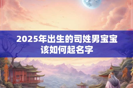 2025年出生的司姓男宝宝该如何起名字 2025年出生的司姓男宝宝该如何起名字