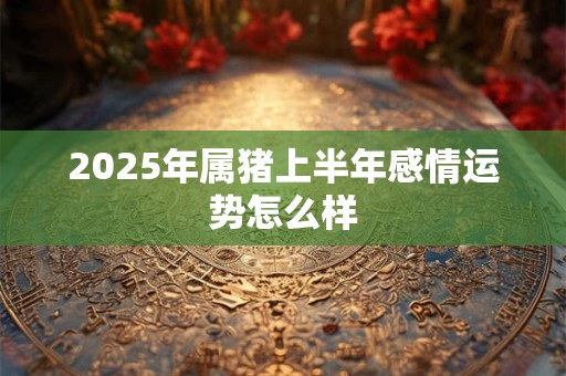 2025年属猪上半年感情运势怎么样 2025年属猪上半年感情运势怎么样