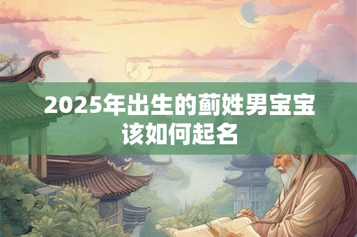 2025年出生的蓟姓男宝宝该如何起名