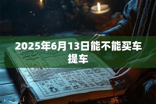2025年6月13日能不能买车提车