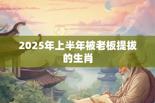 2025年上半年被老板提拔的生肖 2025年上半年被老板提拔的生肖