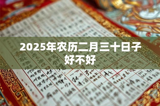 2025年农历二月三十日子好不好
