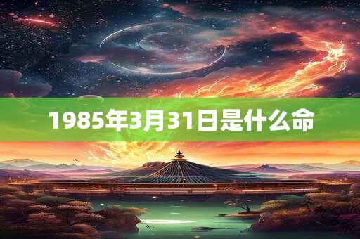1985年3月31日是什么命