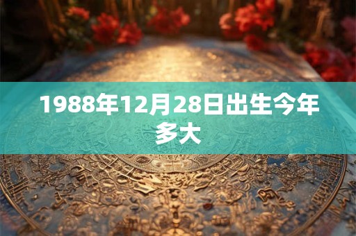 1988年12月28日出生今年多大 1988年12月28日出生今年多大