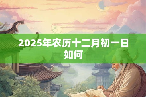 2025年农历十二月初一日如何 2025年农历十二月初一日如何