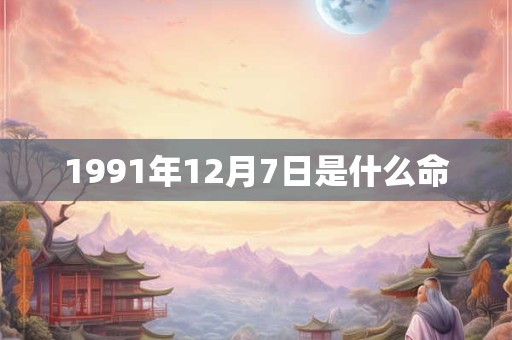 1991年12月7日是什么命