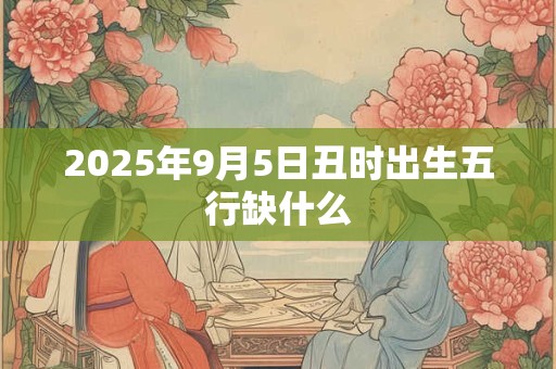 2025年9月5日丑时出生五行缺什么