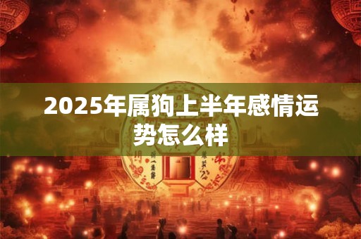 2026年属狗上半年感情运势怎么样