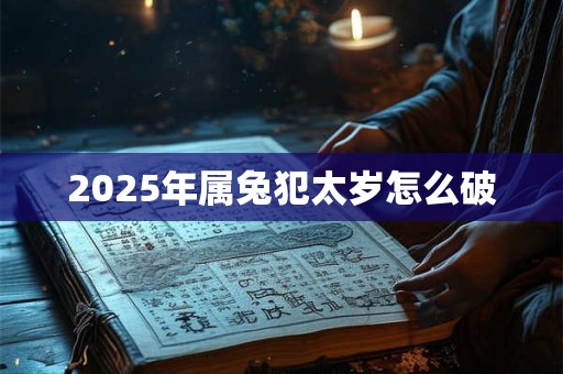 2025年属兔犯太岁怎么破 2025年属兔犯太岁怎么破