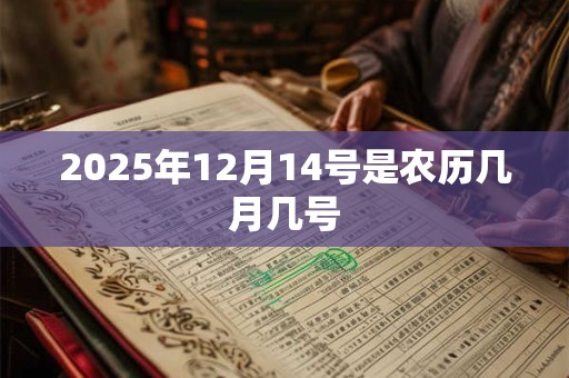2025年12月14号是农历几月几号 2025年12月14号是农历几月几号