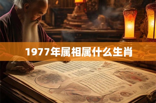 1977年属相属什么生肖 1977年属相属什么生肖