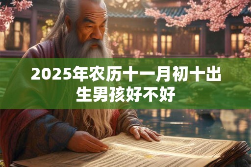 2025年农历十一月初十出生男孩好不好 2025年农历十一月初十出生男孩好不好