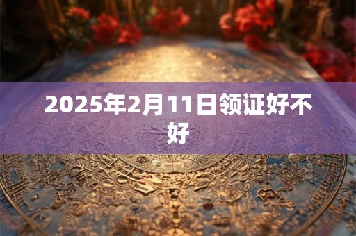 2025年2月11日领证好不好 2025年2月11日领证好不好
