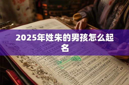 2025年姓朱的男孩怎么起名 2025年姓朱的男孩怎么起名