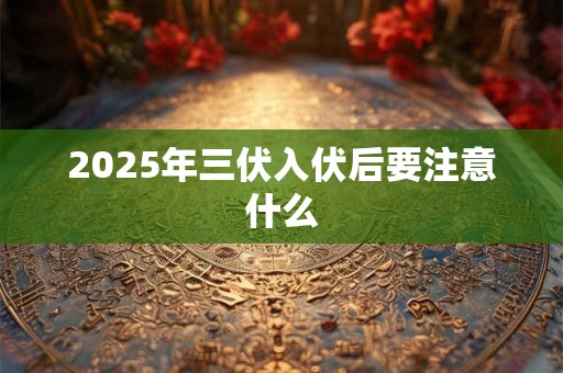 2025年三伏入伏后要注意什么 2025年三伏入伏后要注意什么