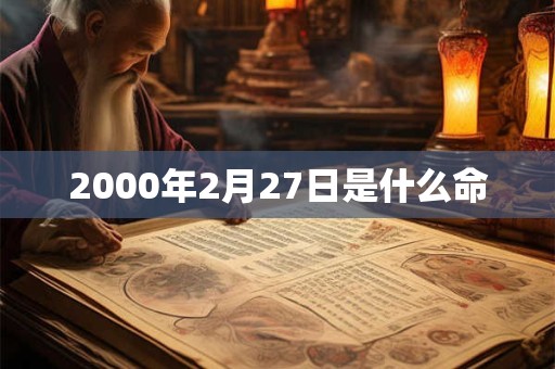 2000年2月27日是什么命 2000年2月27日是什么命